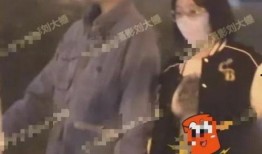 刘大锤最新爆料一览视频,揭秘娱乐圈幕后真相